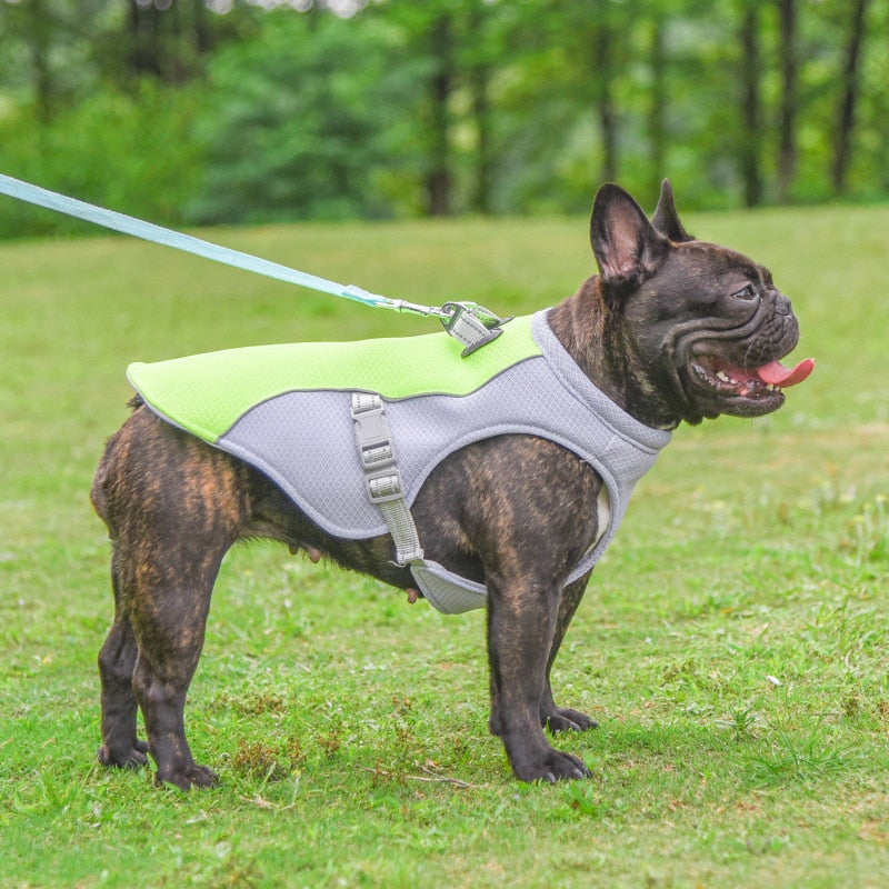 🐾 Ice Cooling Dog Vest - Beat the Heat with Our Breathable Cooling Jackets! 🌞