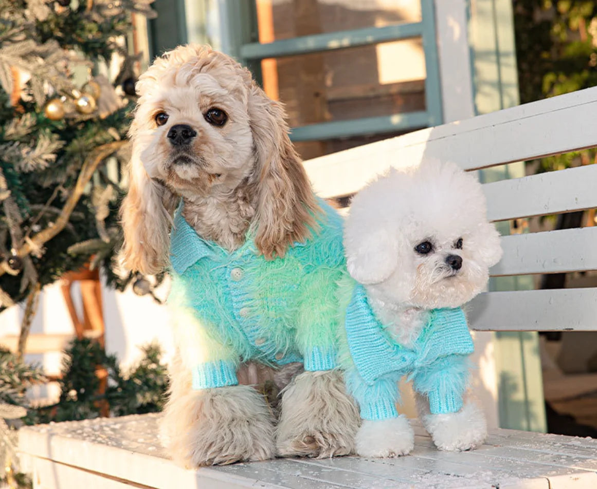 Pet Sweater Duo: Stylish Dog and Cat Clothes for Autumn and Winter - Your Furry Friends' Ultimate Seasonal Wardrobe Upgrade