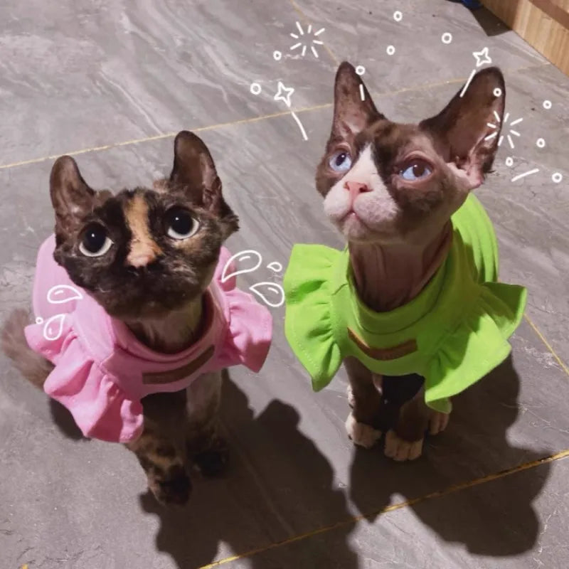 2021 Luxury Sphynx Cat Clothes Summer Dog Fancy Dress For Hairless Cats Clothing Small French Bulldog Puppy Costume Kittens Vest