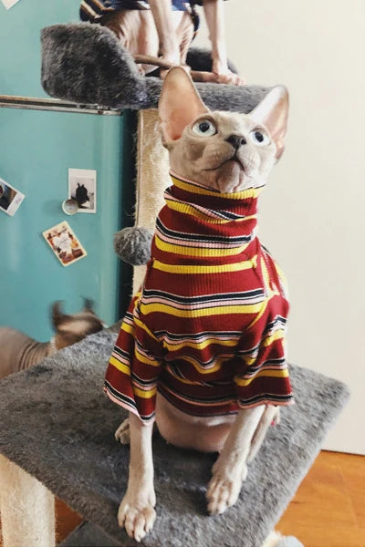 Cat Clothes for Sphinx Hairless Cat Clothes Striped Clothing Warm Knitted Shirt Pet Clothes Cat Supplier XS to XL