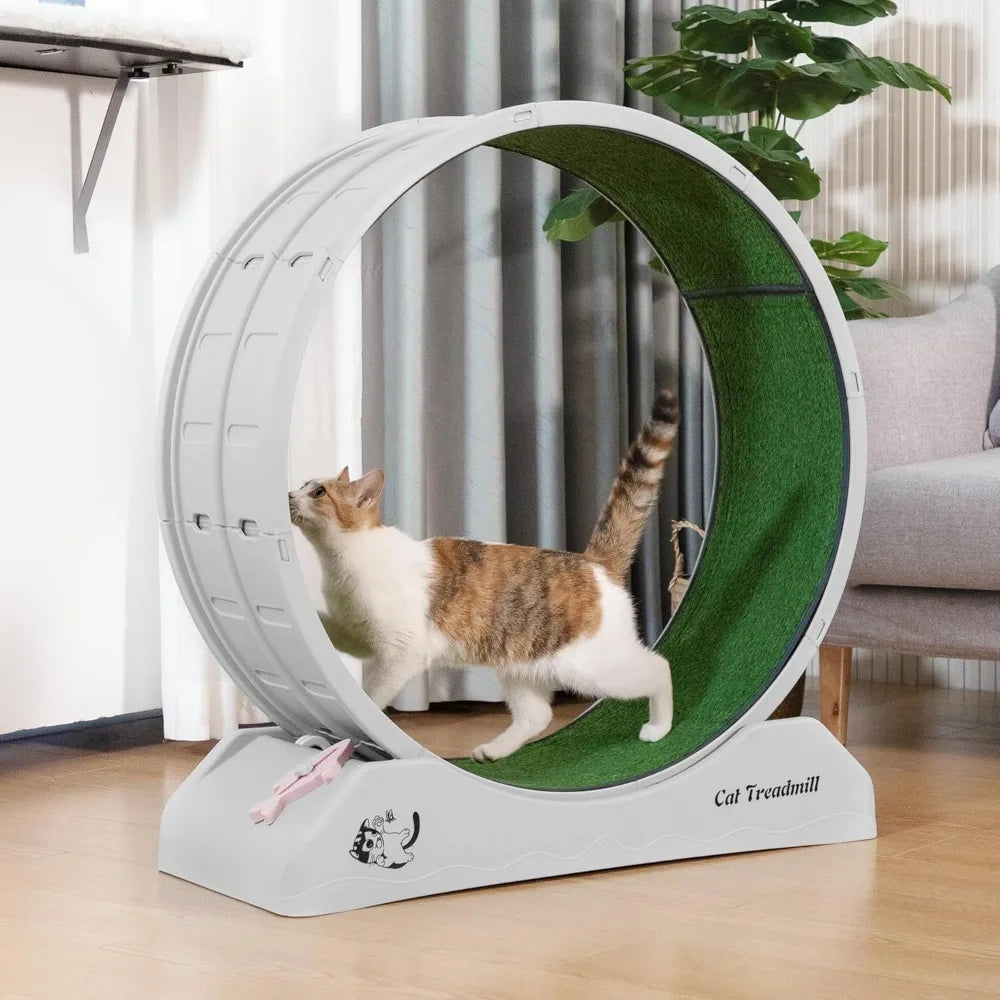 31.5" Large Cat Treadmill, Cat Exercise Wheel with Locking Mechanism Nonslip Carpet Cat Teaser Running Wheel for Indoor