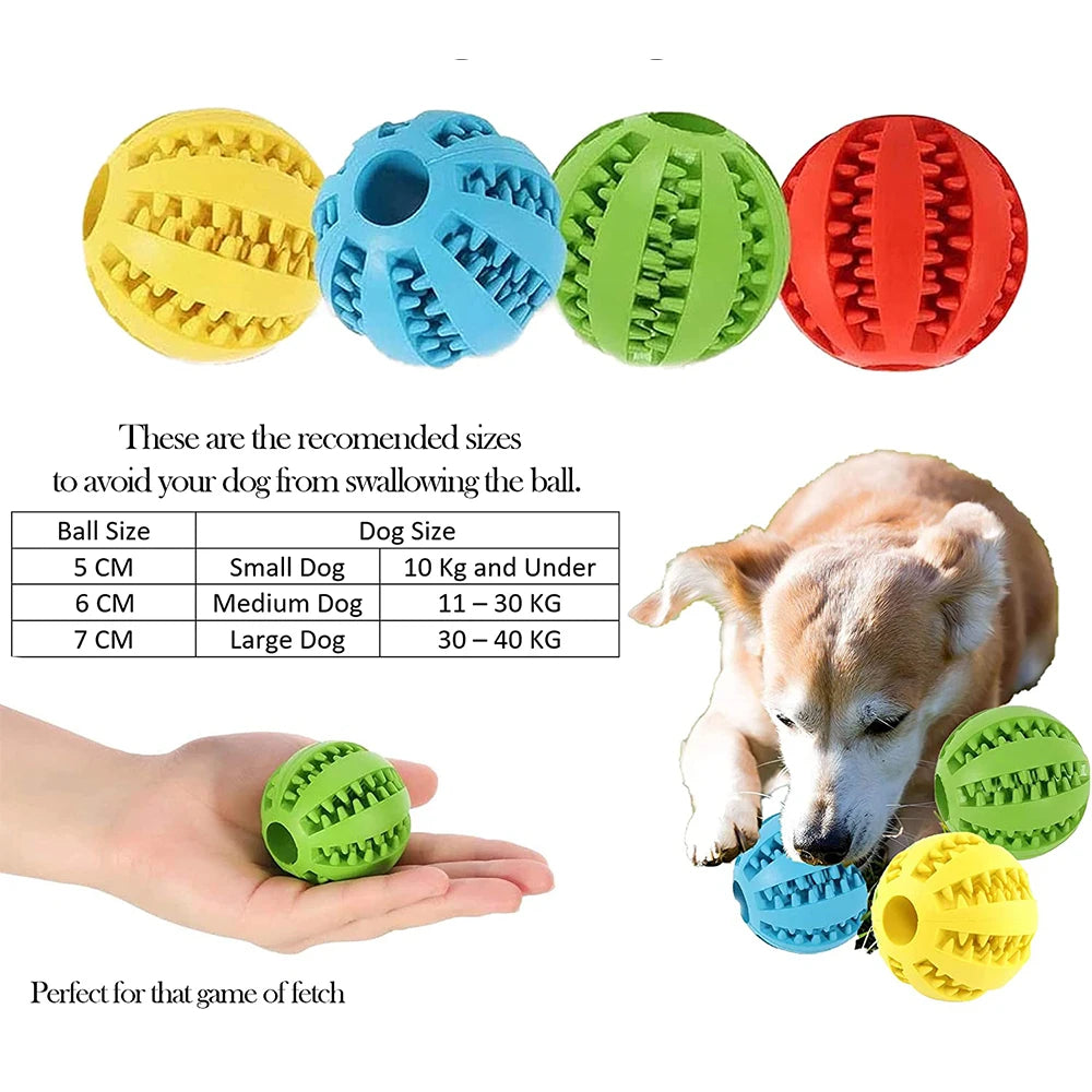 Snack-N-Play Dog Ball