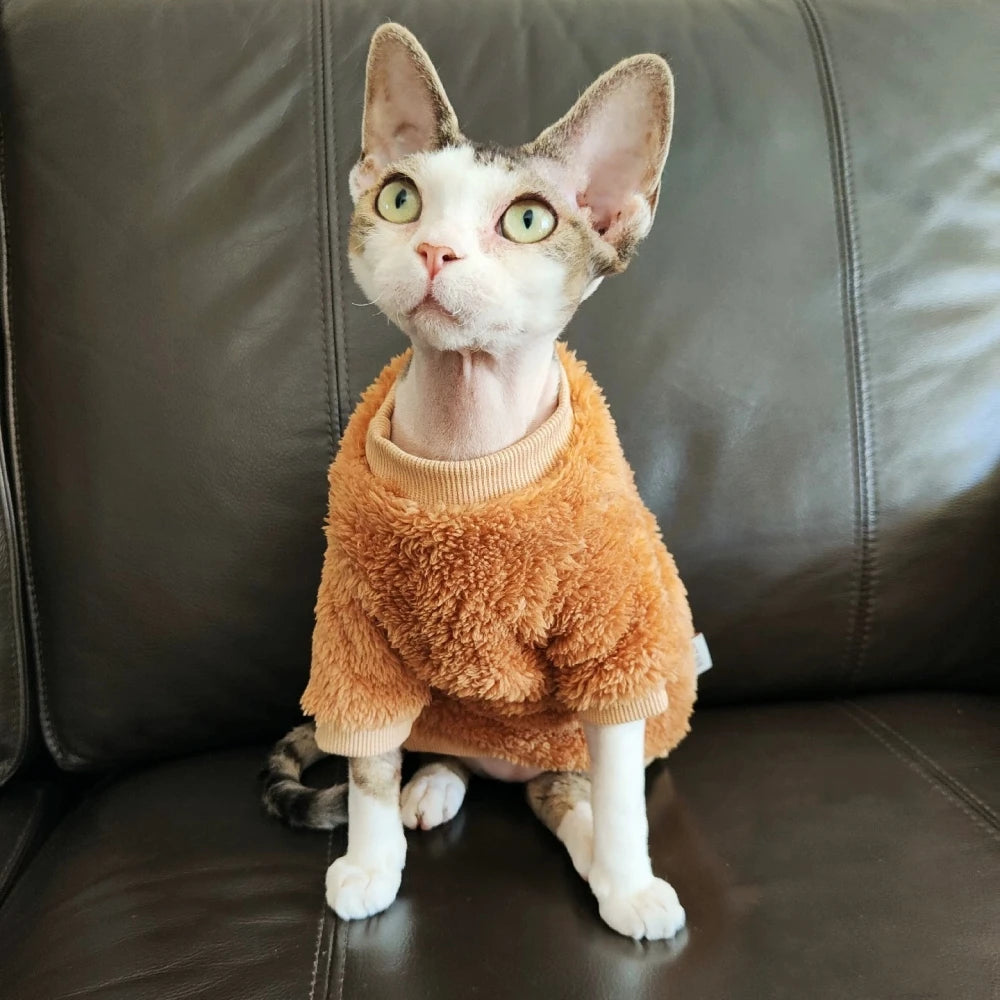 Sphynx Cat Cartoon Bear Sweater in Winter Autumn Warm Brown Fleece Coat for Devon Rex Long Sleeves Thick Sweatshirt for Cat Dogs