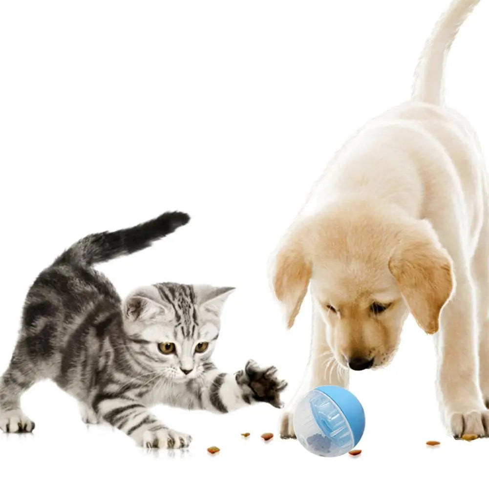 Pet Interactive Feeder Ball