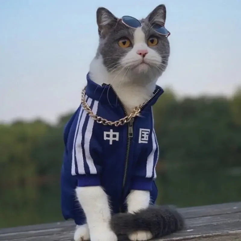 Pet Fashion Brand Cat Blue Cat Puppet Clothes with plush and thickened autumn and winter sportswear