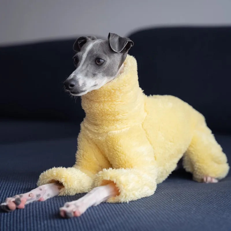 Yellow soft dog coat high collar design winter warm small medium dog pajamas suitable for Italian Greyhound Whippet Bellington