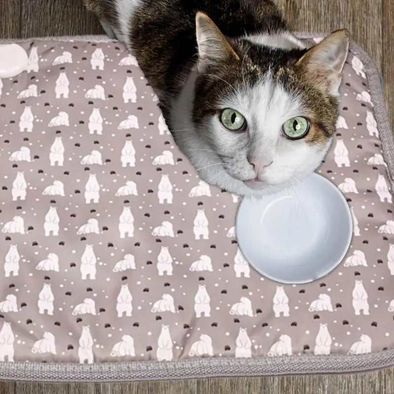 Waterproof Heated Pet Pad with Adjustable Temperature - Ideal Animal Bed for Cats and Dogs, Indoor Warming Mat for Cozy Winter Snuggles!