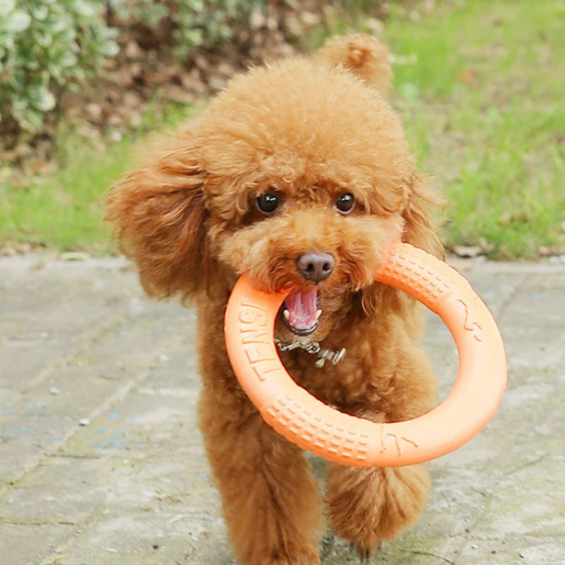 Bite Buster Flying Ring Dog Toy