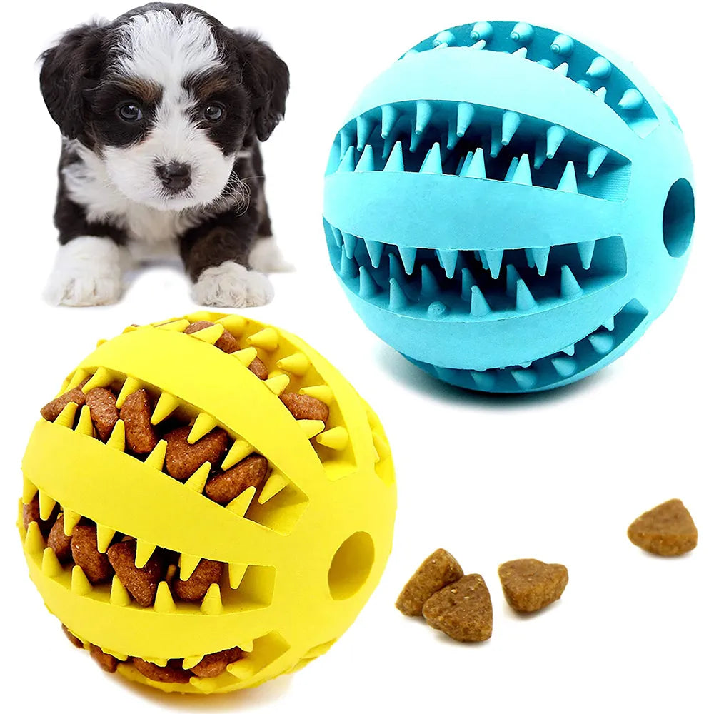 Snack-N-Play Dog Ball