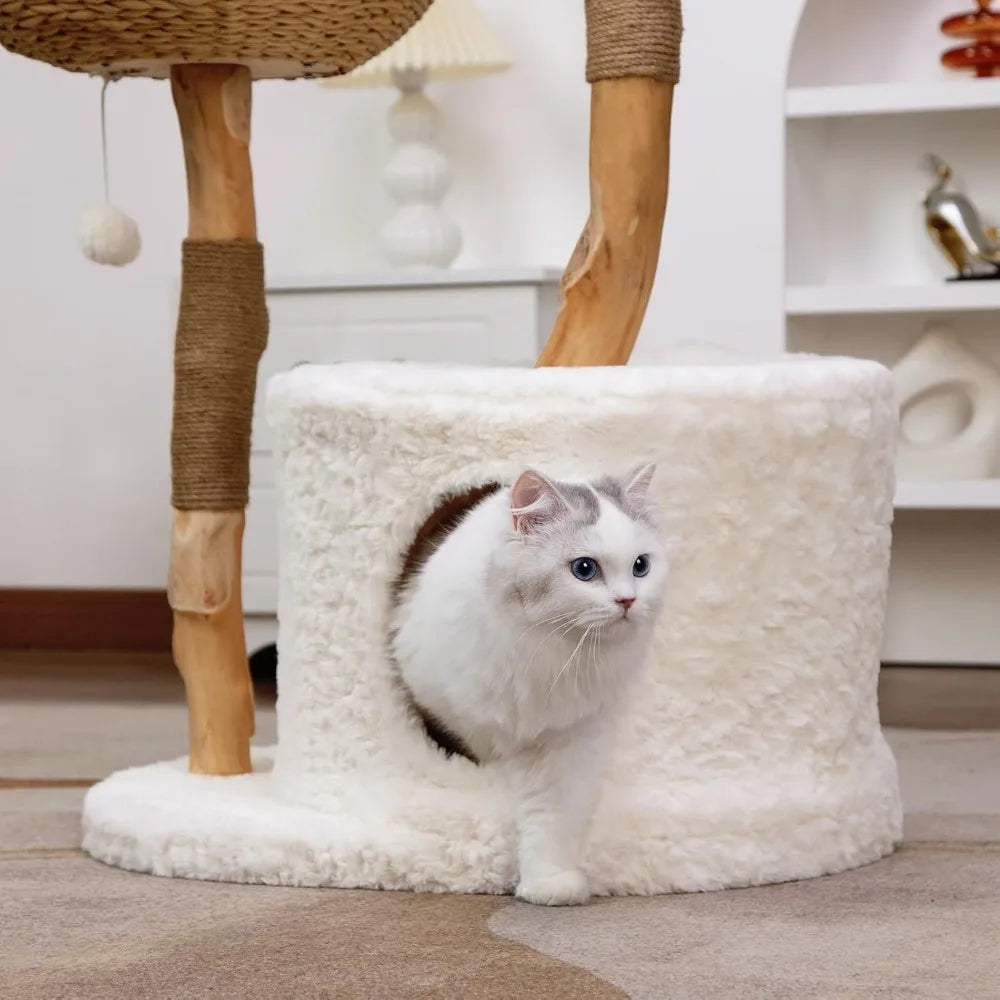 Wood Cat Tree for Indoor Cats,for Large Cats, Real Branch Unique, with Scratching Post Modern Cat Tower