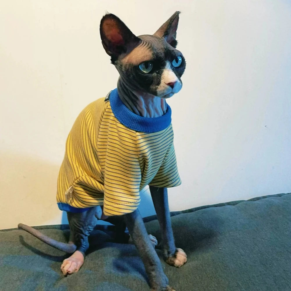 Yellow Striped Long Sleeves Cotton T-shirt for Sphinx Cat in Autumn Kittens Soft Spring Jumpsuit Coat Devon Rex Blue Sweatshirt