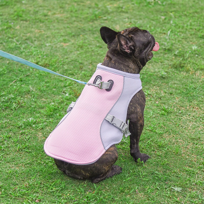 🐾 Ice Cooling Dog Vest - Beat the Heat with Our Breathable Cooling Jackets! 🌞