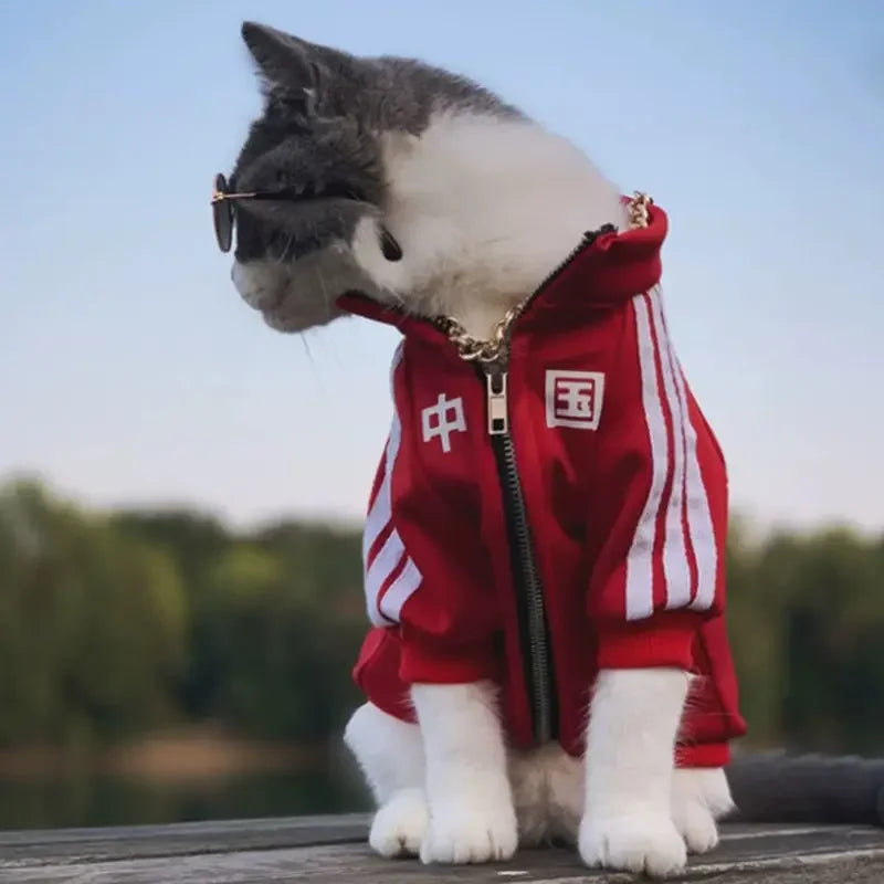 Pet Fashion Brand Cat Blue Cat Puppet Clothes with plush and thickened autumn and winter sportswear