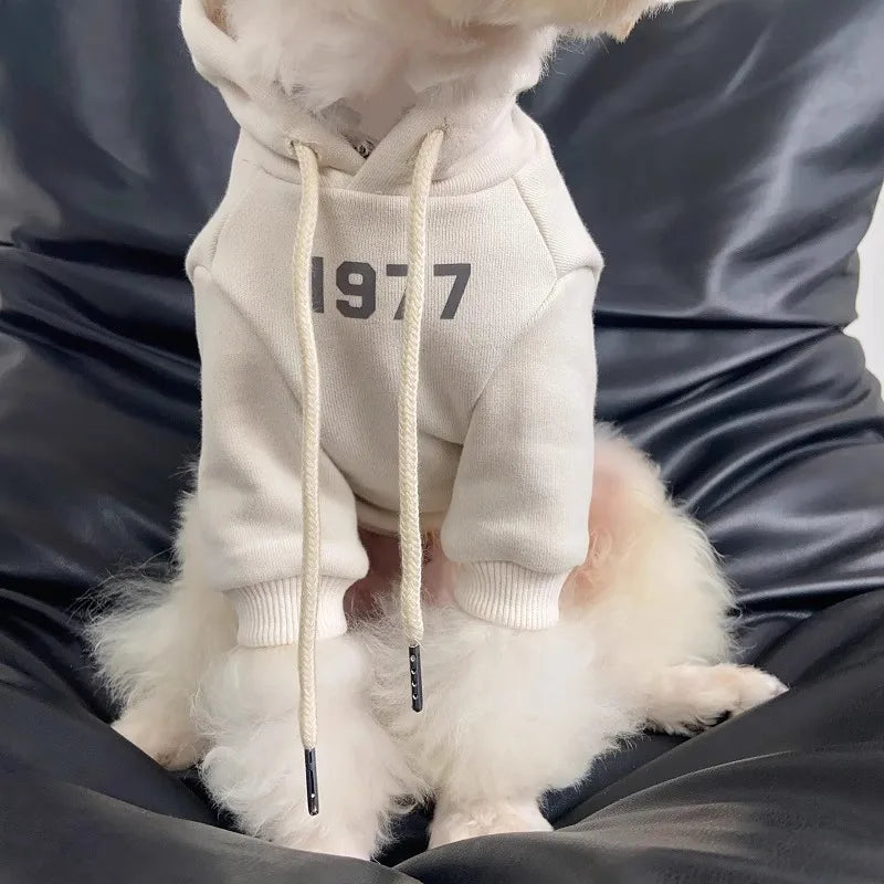 2025 Cute Dog Hoodie with Velvet Warmth Pet Winter Clothing