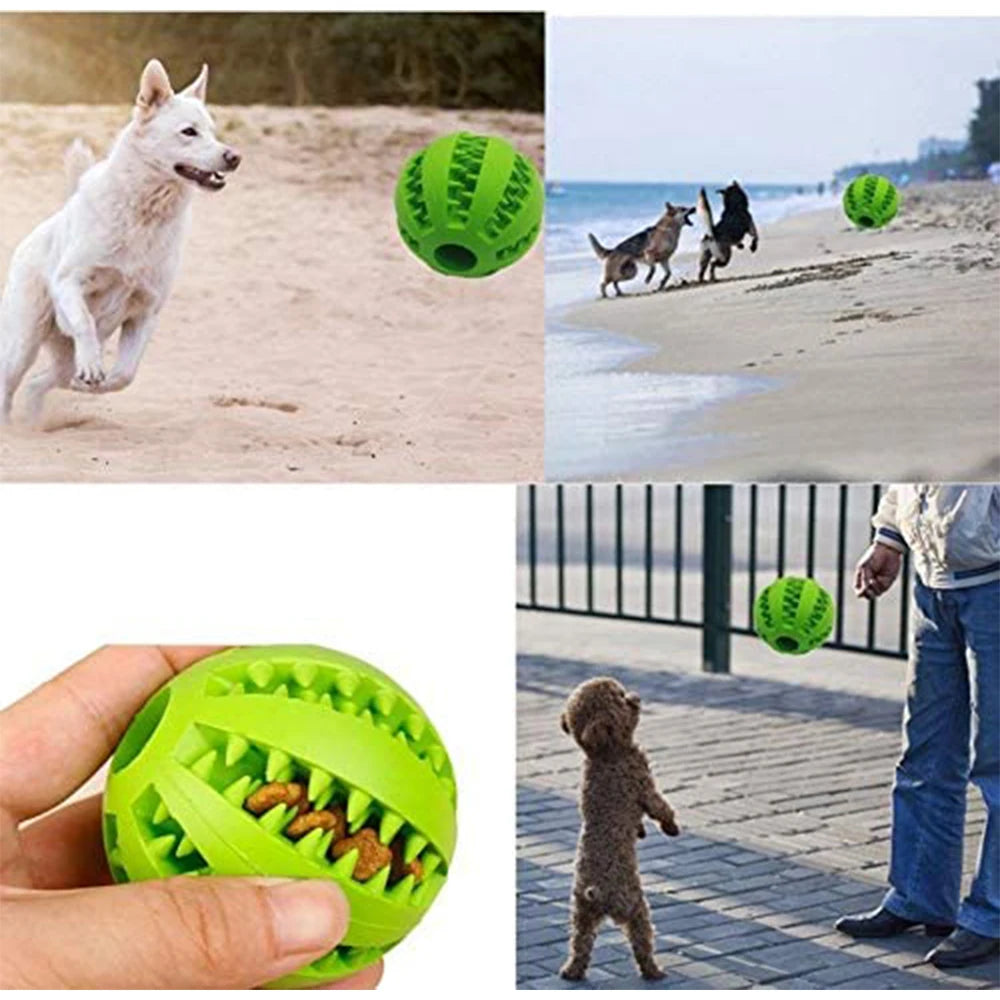 Snack-N-Play Dog Ball