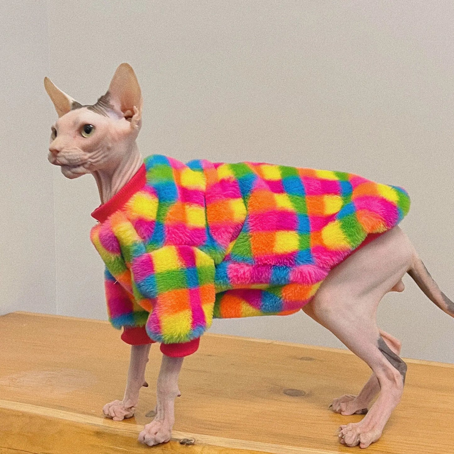 Rainbow Plaid Warm Sphynx Cat Sweater Hairless Cat Clothes Thickening Soft Double-side Cony Hair Coat for Devon Winter Outwear