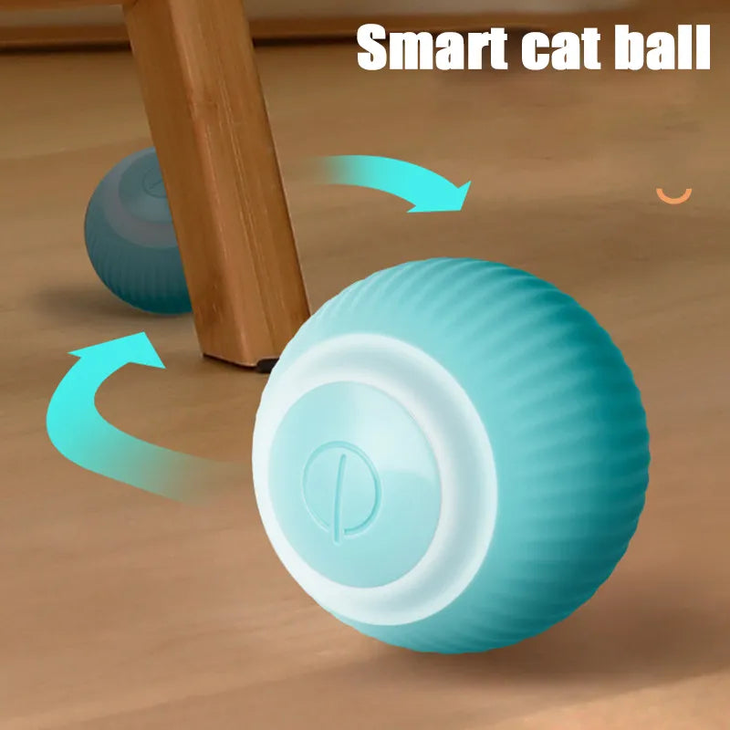 Self-Moving Kitten Toy