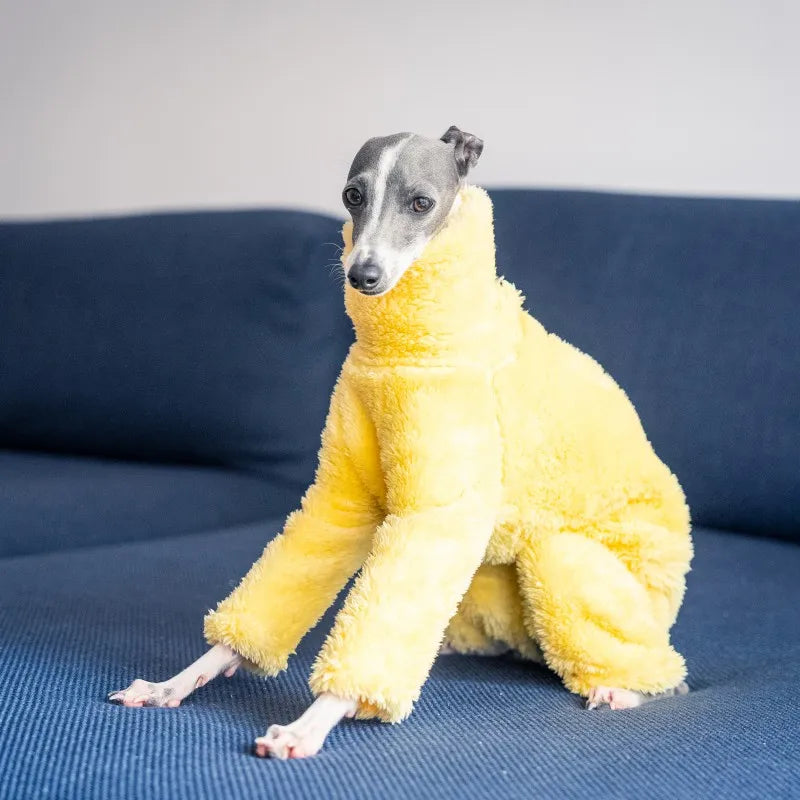 Yellow soft dog coat high collar design winter warm small medium dog pajamas suitable for Italian Greyhound Whippet Bellington