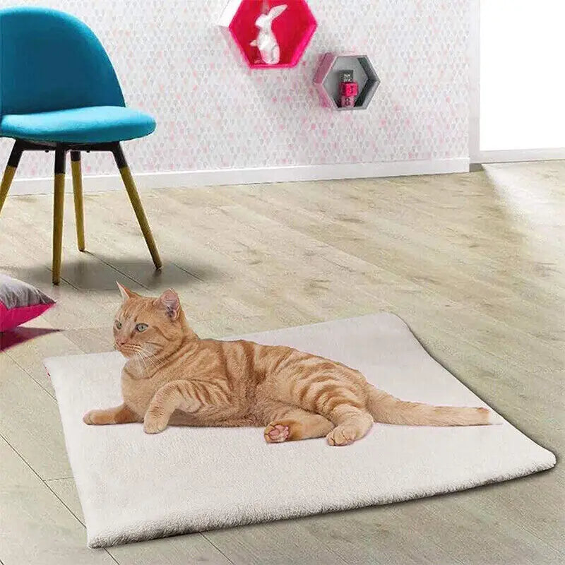 USB-Powered Pet Electric Heat Pad: Winter Warmth for Dogs & Cats | Blanket Mat, Thermal Bed, Home Sleeping Supplies | Cozy & Energy-Efficient!