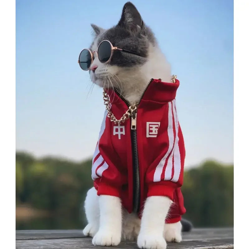 Pet Fashion Brand Cat Blue Cat Puppet Clothes with plush and thickened autumn and winter sportswear