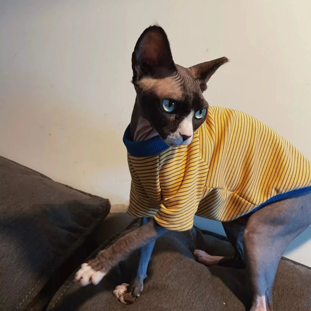 Yellow Striped Long Sleeves Cotton T-shirt for Sphinx Cat in Autumn Kittens Soft Spring Jumpsuit Coat Devon Rex Blue Sweatshirt