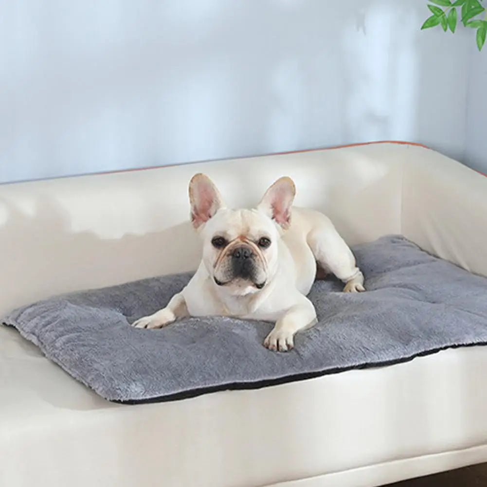 Self-Heating Winter Pets Mat: Soft Comfortable Bed for Cats and Dogs, Self-Warming Elderly Pets Thermal Cushion Warmer Supplies - Cozy Comfort at Its Best!