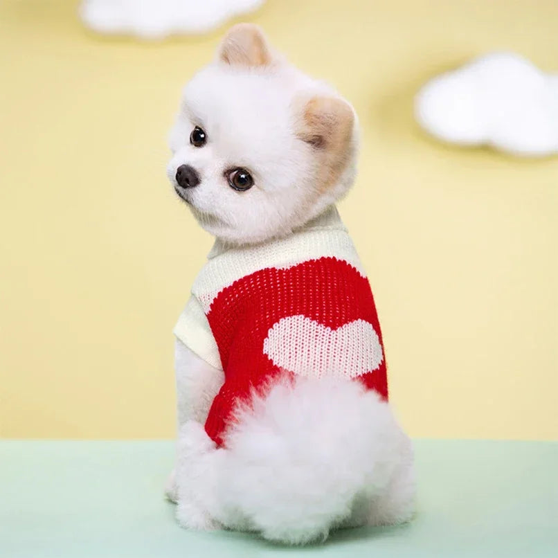 Puppy Cat Sweater Winter Warm Pet Clothes for Small Dogs Chihuahua Vest French Bulldog Knitted Sweater Schnauzer Kitten Costume