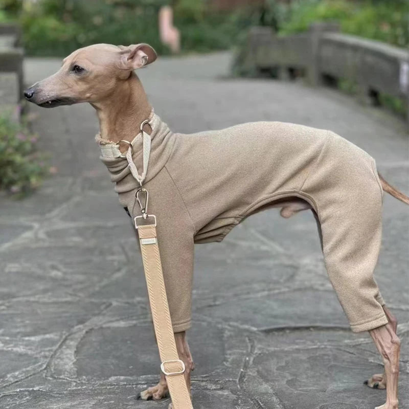 Soft Whippet Turtleneck 4-legged Clothes Warm Italian Greyhound Cotton Stretch Dog Sweater in Autumn Winter