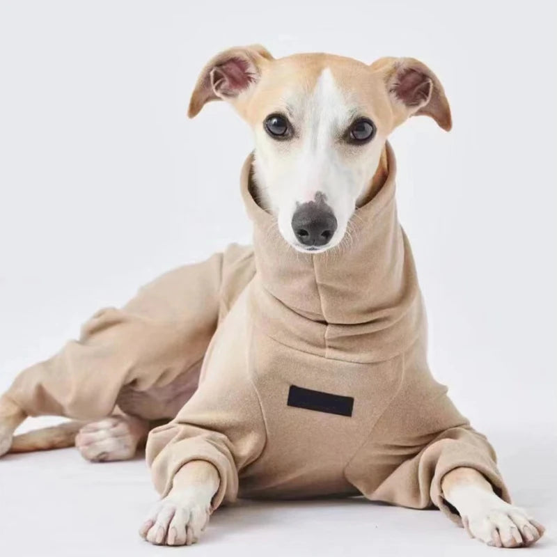 Soft Whippet Turtleneck 4-legged Clothes Warm Italian Greyhound Cotton Stretch Dog Sweater in Autumn Winter