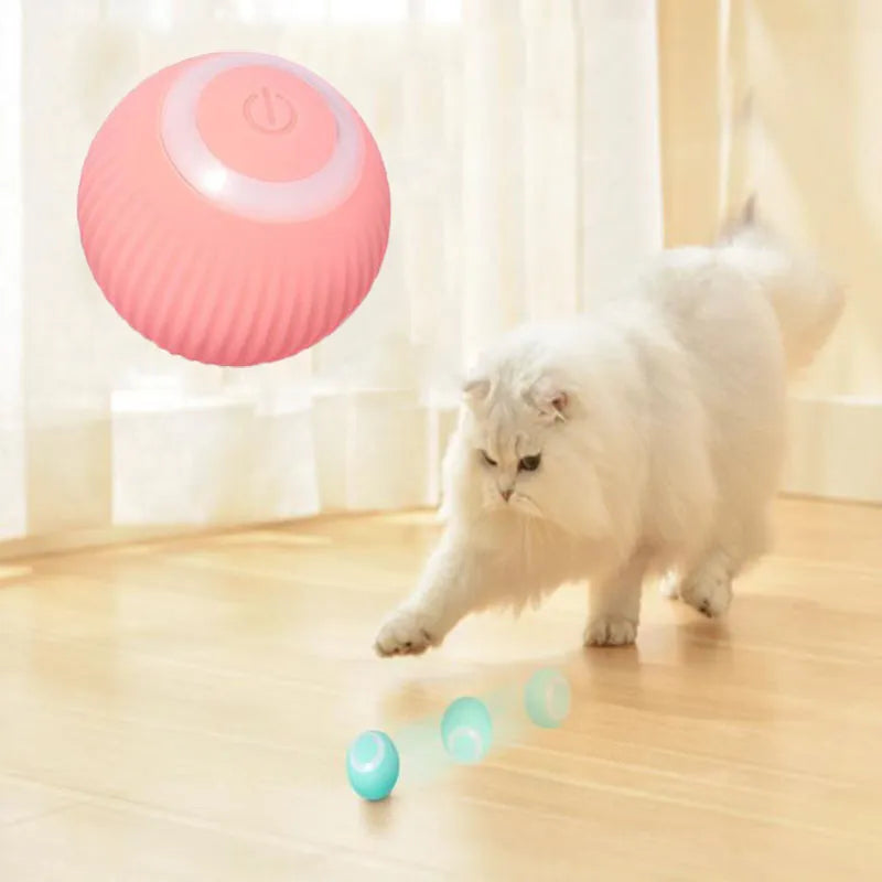 Self-Moving Kitten Toy