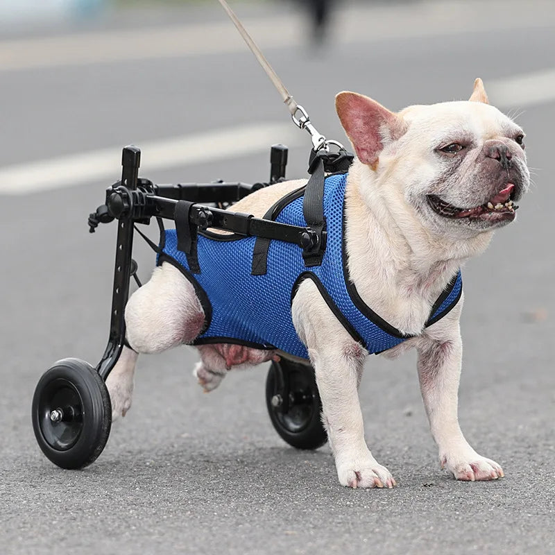 Pet dog wheelchair dog rehabilitation walking assistance cart moped pet dog transport vehicle