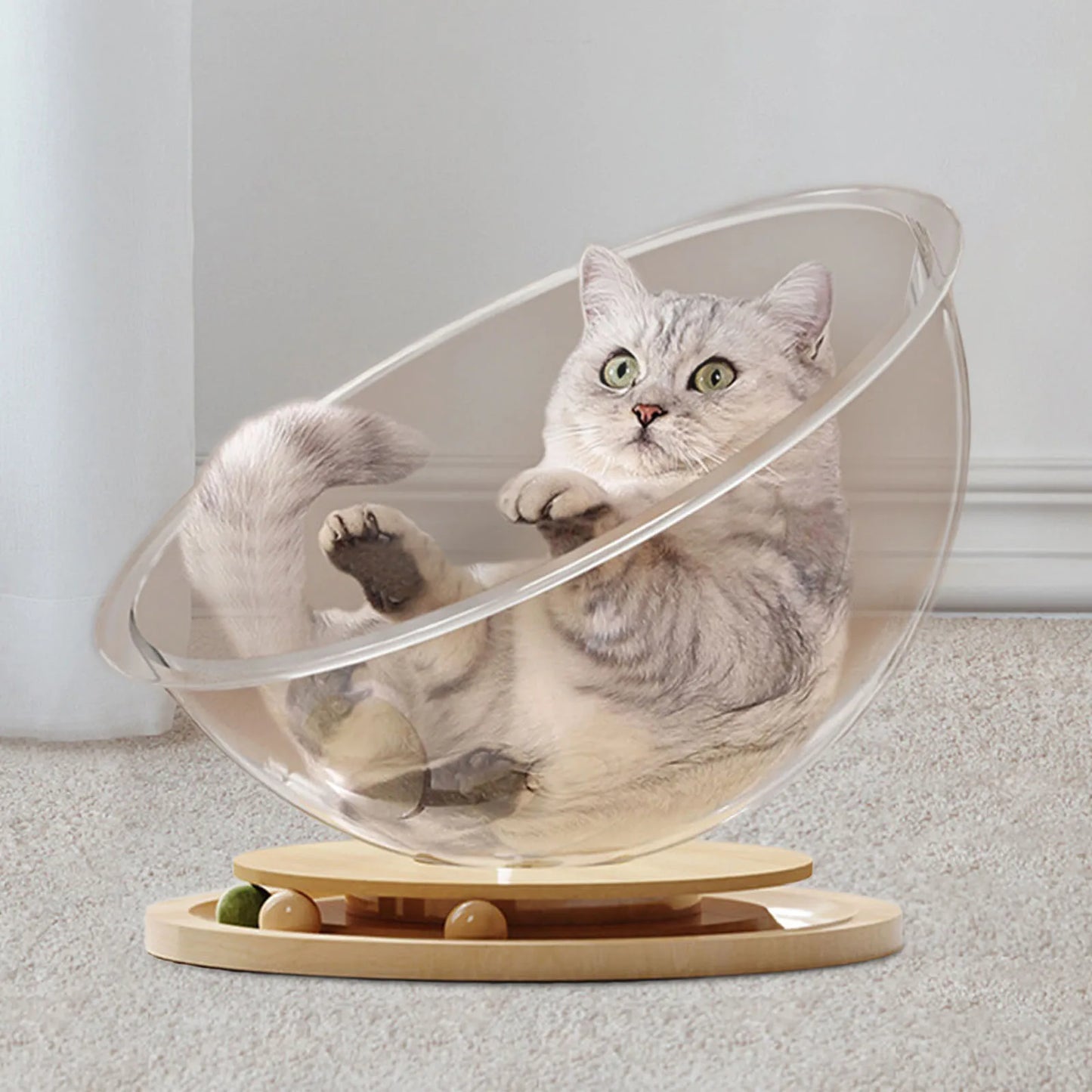 Space Capsule Cat Bed Kitten Nest Sleeping Nest Four Seasons Universal Stable Cat Furniture Small Animals Pet Supplies