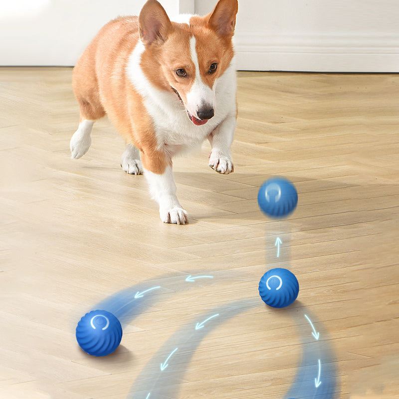 Dynamic Play Delight: Electric Dogs Ball Toy for Smart and Exciting Pet Entertainment