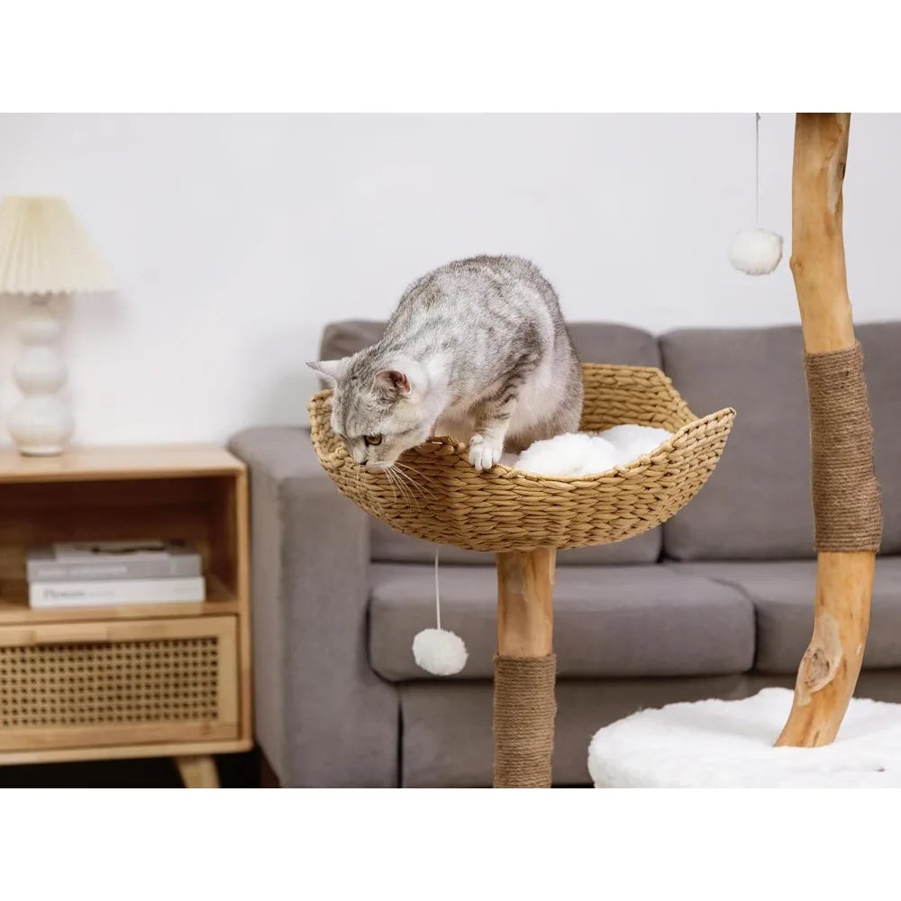 Wood Cat Tree for Indoor Cats,for Large Cats, Real Branch Unique, with Scratching Post Modern Cat Tower