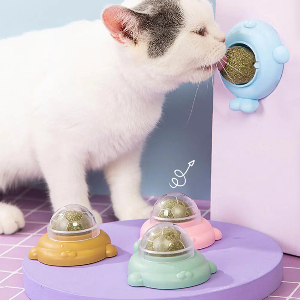 Rotating Catnip Wall Ball