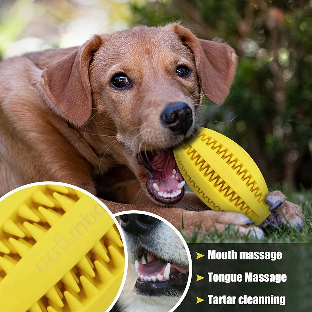 Treat Dispensing Dog Ball