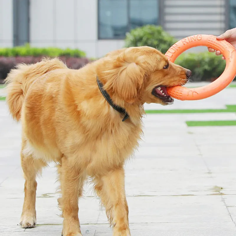 Bite Buster Flying Ring Dog Toy