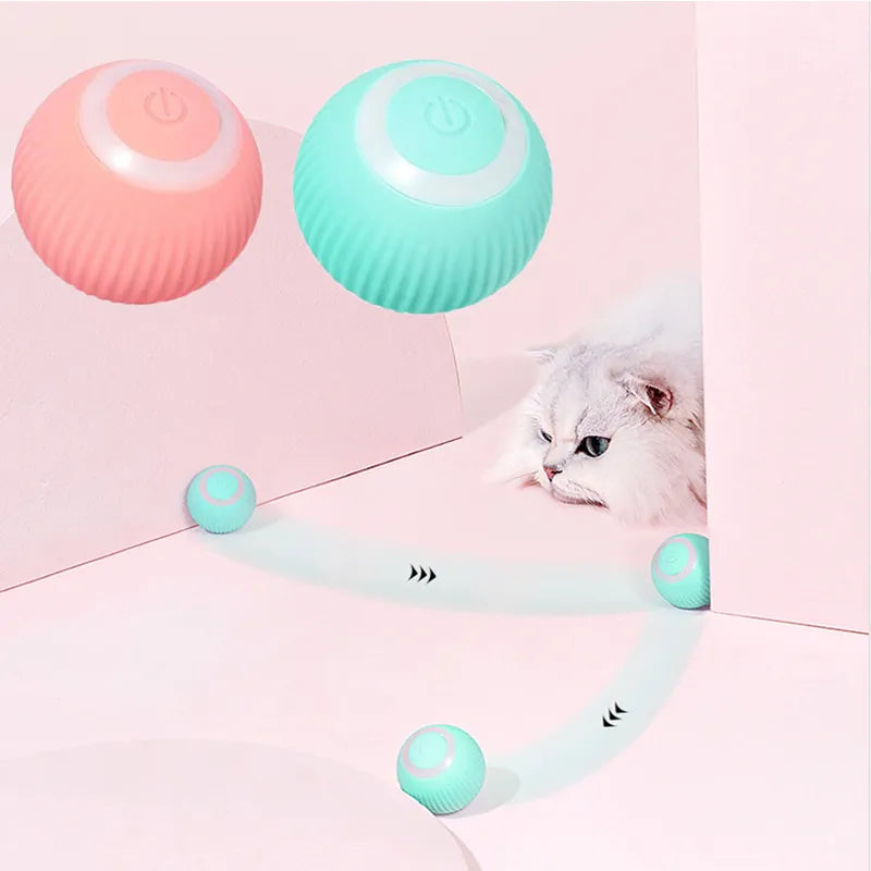 Self-Moving Kitten Toy