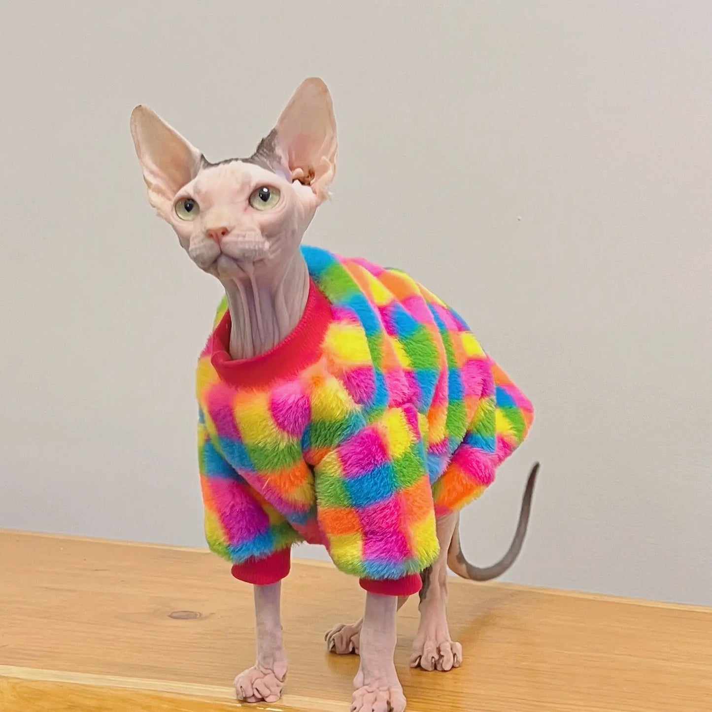 Rainbow Plaid Warm Sphynx Cat Sweater Hairless Cat Clothes Thickening Soft Double-side Cony Hair Coat for Devon Winter Outwear