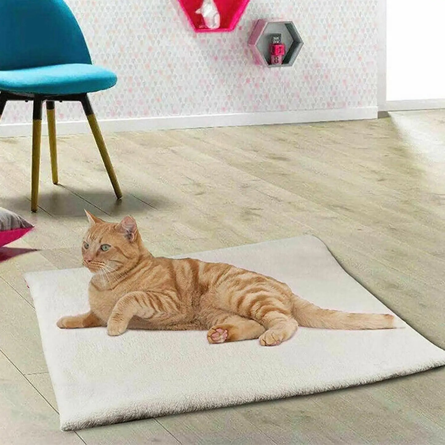 AiroPaws™ Pet Self-Heating Pad Dog Cat Winter Electric Blanket Warming Pad Plush Bed Cushion Thermal Mat USB Charging Hot Pet Accessories