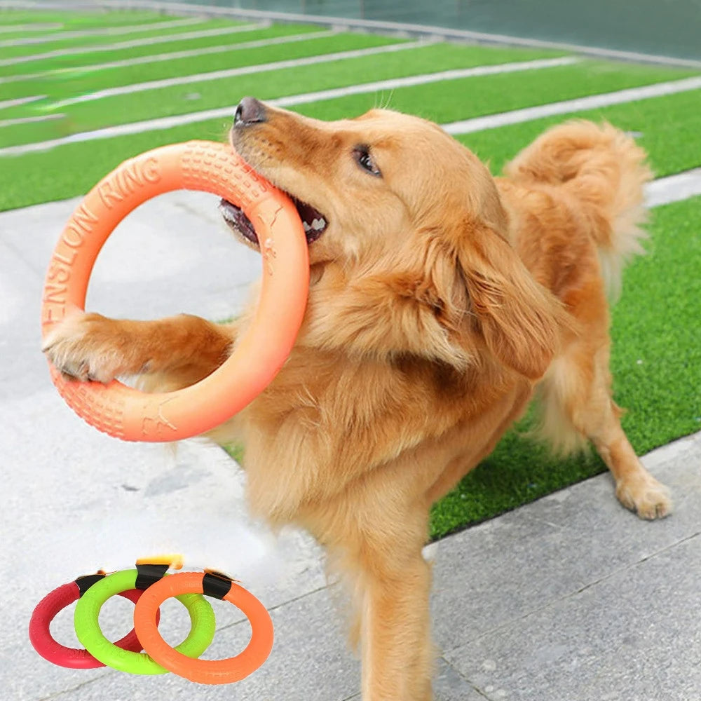 Bite Buster Flying Ring Dog Toy