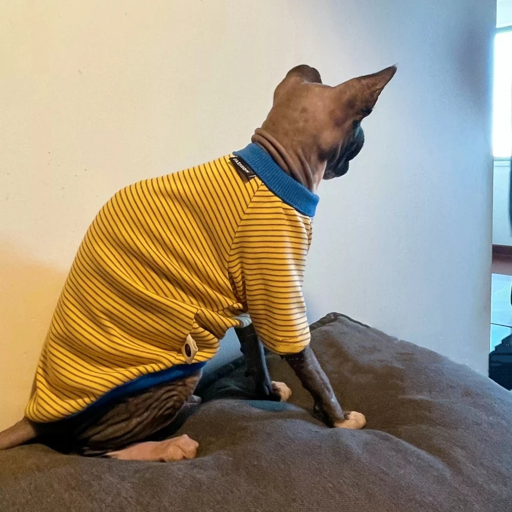 Yellow Striped Long Sleeves Cotton T-shirt for Sphinx Cat in Autumn Kittens Soft Spring Jumpsuit Coat Devon Rex Blue Sweatshirt