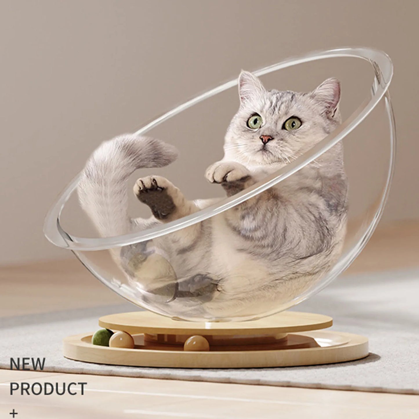 Space Capsule Cat Bed Universal with Track Balls Toy Transparnt Cat House Kitten Easy Cleaning Pet Supplies