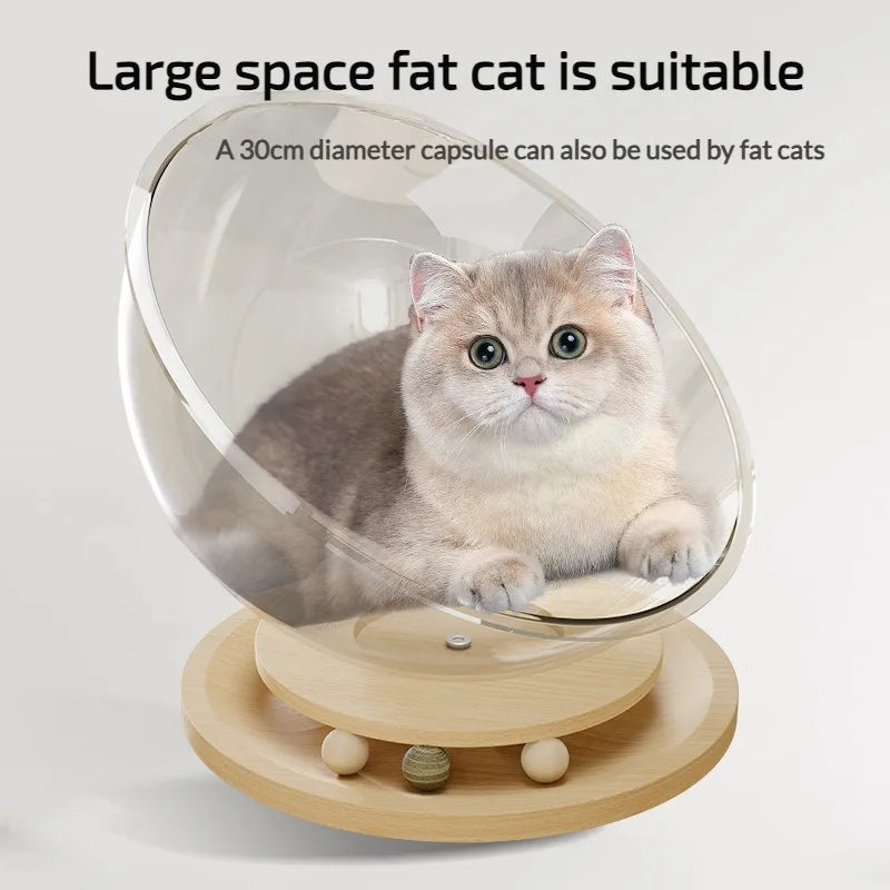 Space Capsule Cat Bed All Seasons Universal Kitten Nest Cat Furniture Pet Accessories for Kitty Cat Hammock Cat House Easy Clean