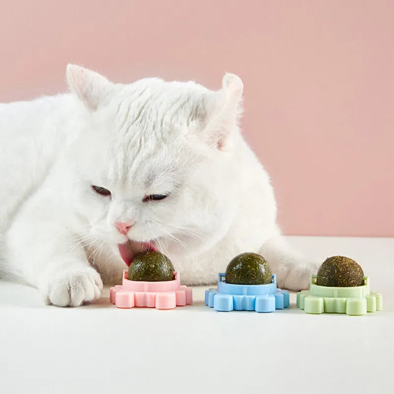 Rotating Catnip Wall Ball