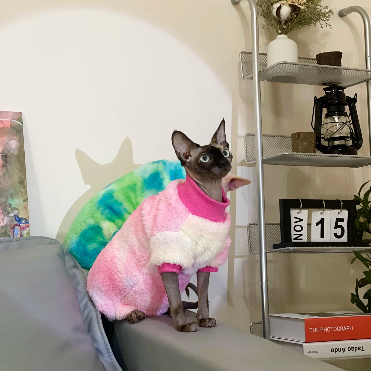 Rainbow Warm Sphynx Cat Turtleneck Sweater Hairless Cat Clothes Soft Winter Coat Thickening Sweet Fleece Jumpsuit for Kittens