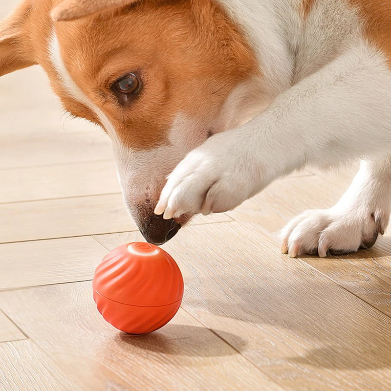 Dynamic Play Delight: Electric Dogs Ball Toy for Smart and Exciting Pet Entertainment