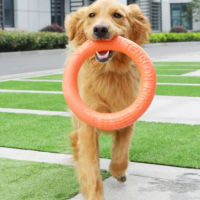 Bite Buster Flying Ring Dog Toy