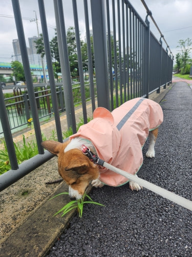 YorkDog Clothes Rain Coat: Waterproof Dog Coat Jacket with Reflective Strip Poncho | Pet Accessories | Stay Dry and Stylish!