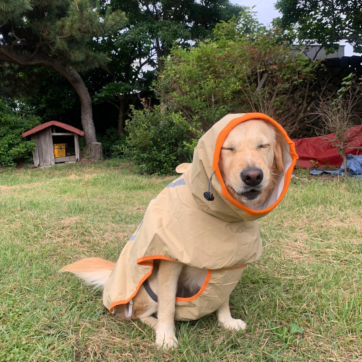 YorkDog Clothes Rain Coat: Waterproof Dog Coat Jacket with Reflective Strip Poncho | Pet Accessories | Stay Dry and Stylish!